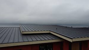 Commercial Roofing Services in Escobares, TX